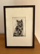 IMG_2633.JPEG